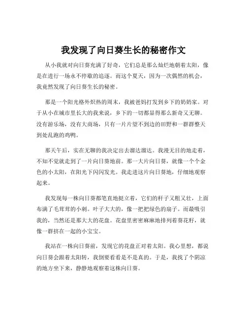 我发现了向日葵生长的秘密作文