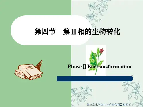 第三章化学结构与药物代谢Ⅱ相四五