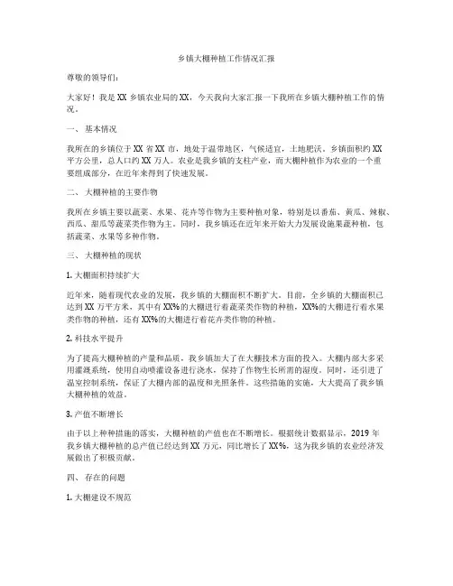 乡镇大棚种植工作情况汇报
