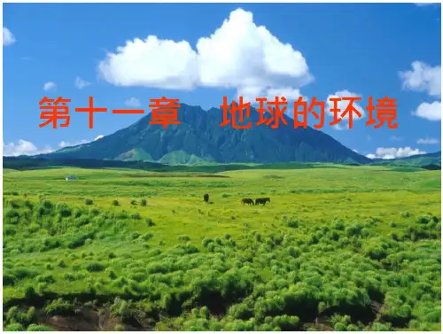 中国地质大学(北京)地球科学概论 第十一章地球的环境 帮助学习地球科学概论