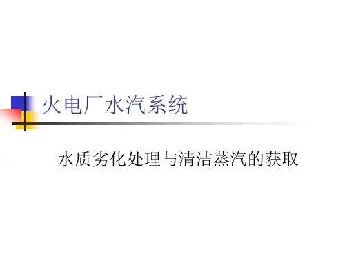 火电厂汽水系统解读