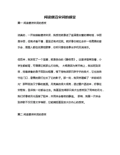 作文《阅读唐诗宋词的感受》