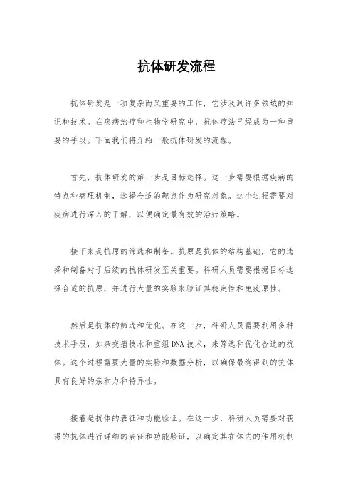 抗体研发流程