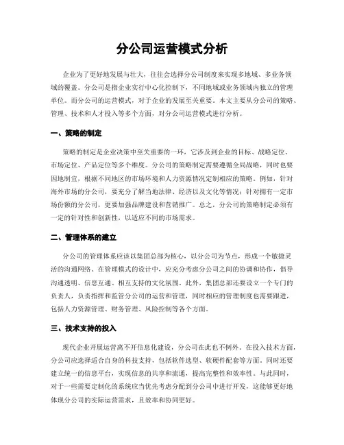 分公司运营模式分析