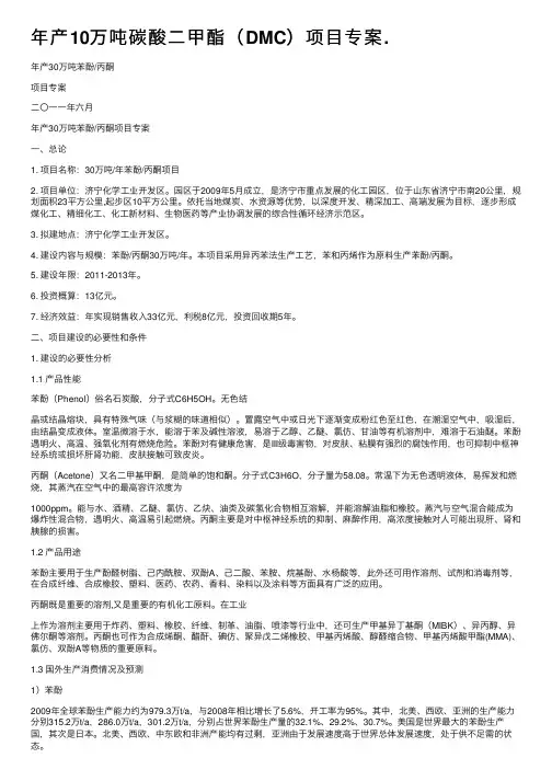 年产10万吨碳酸二甲酯（DMC）项目专案.