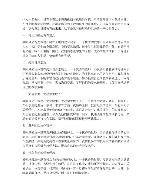 扬展教师风采心得体会