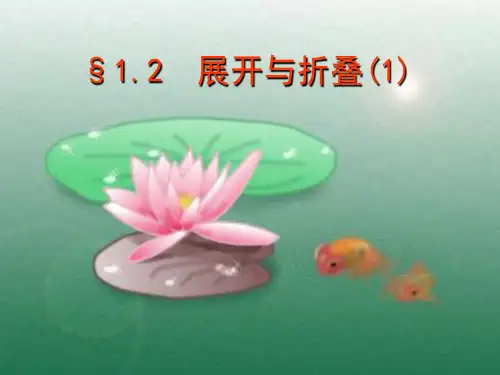 七年级展开与折叠数学ppt