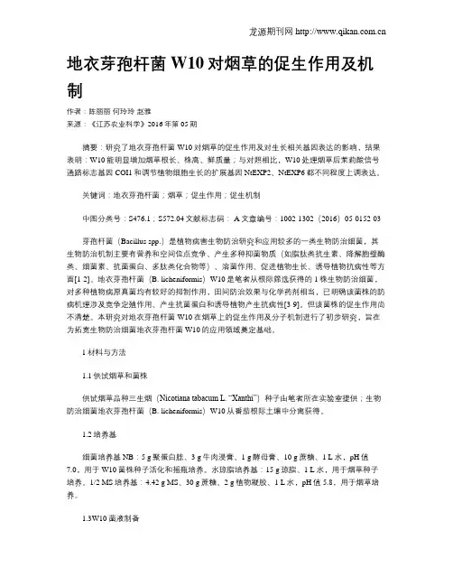 地衣芽孢杆菌W10对烟草的促生作用及机制
