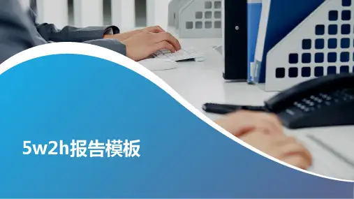 5w2h报告模板