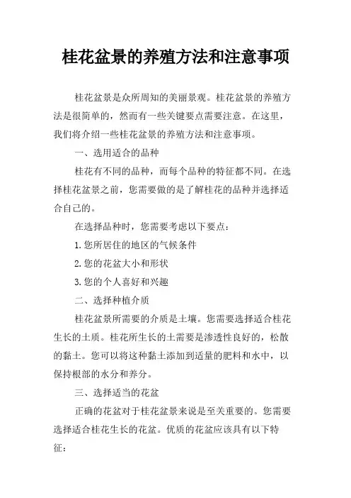 桂花盆景的养殖方法和注意事项