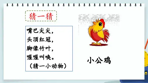 部编人教版小学一年级语文下册《小公鸡和小鸭子》课件