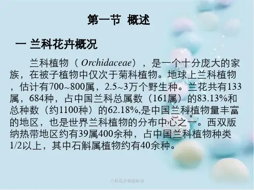 兰科花卉基础知识