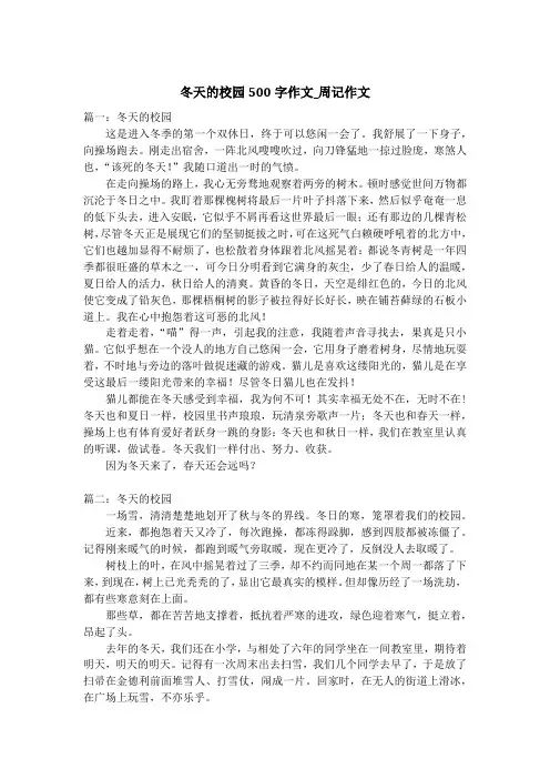 冬天的校园500字作文_周记作文
