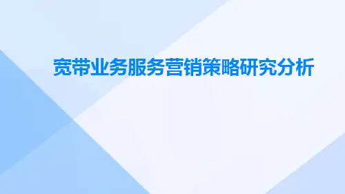宽带业务服务营销策略研究分析