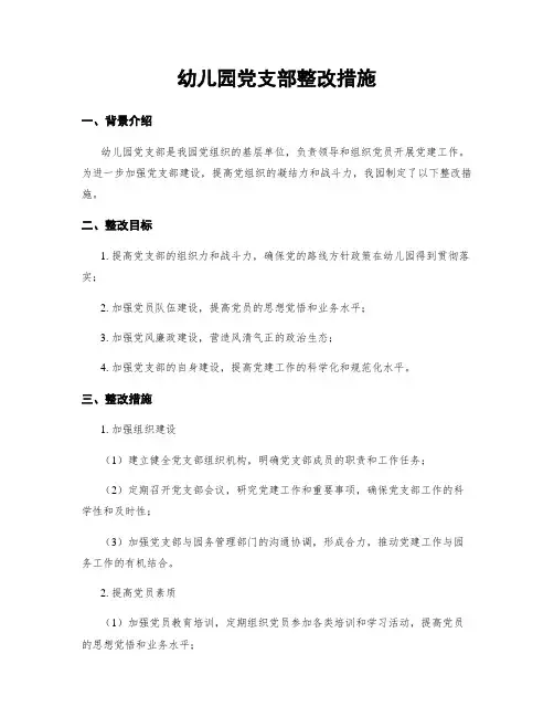 幼儿园党支部整改措施
