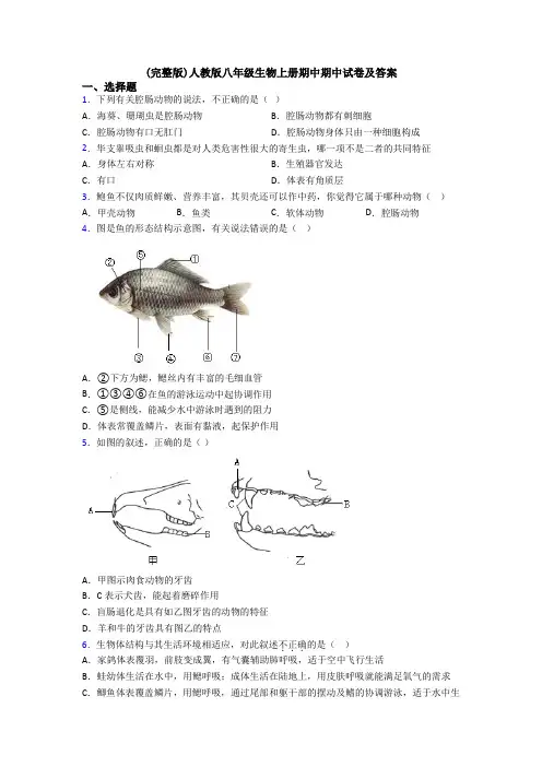 (完整版)人教版八年级生物上册期中期中试卷及答案