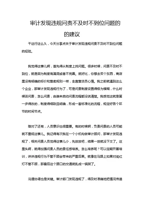 审计发现违规问责不及时不到位问题的的建议