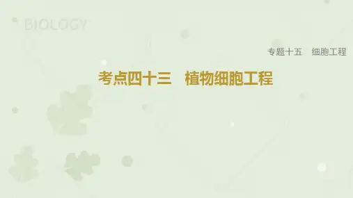 2023届高考生物一轮复习专题课件：植物细胞工程