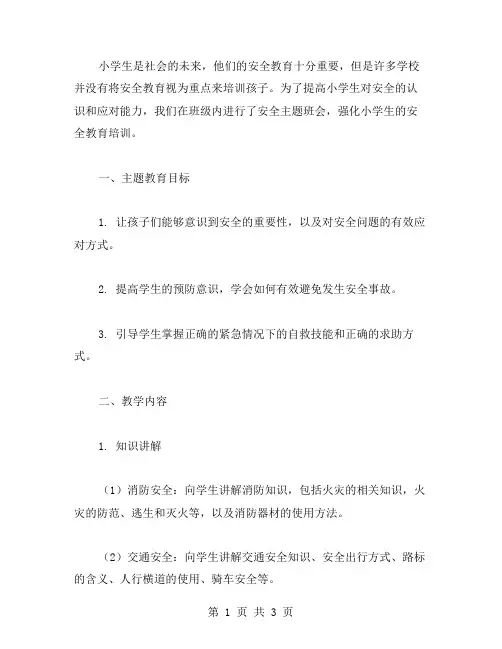 强化小学生安全教育培训的主题班会教案