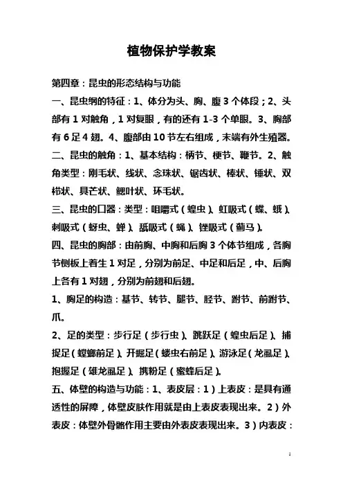 植物保护学(高教版)教案：第四章昆虫的形态结构与功能