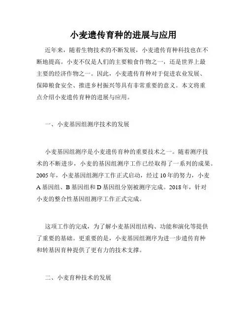 小麦遗传育种的进展与应用