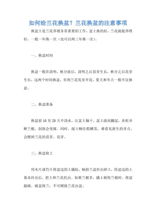 如何给兰花换盆？兰花换盆的注意事项