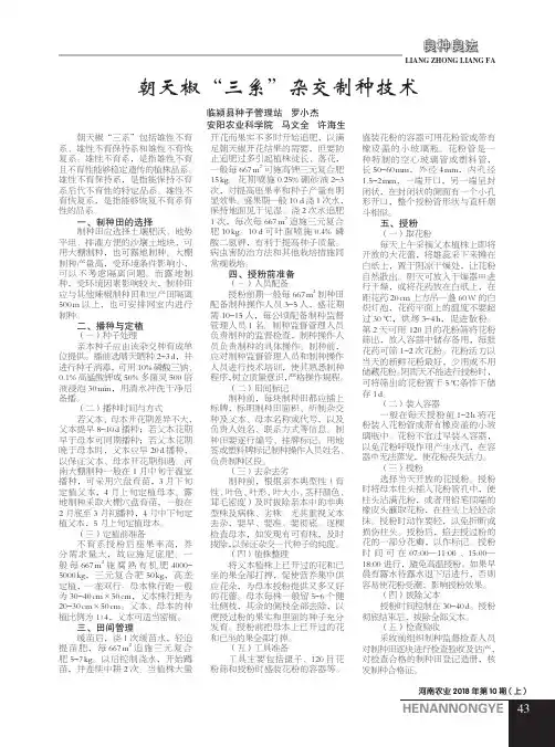 朝天椒“三系”杂交制种技术