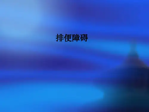 排便障碍ppt课件