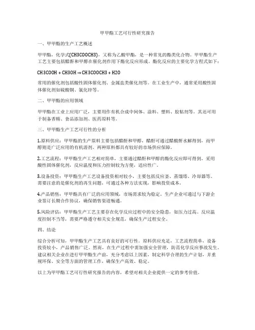 甲甲酯工艺可行性研究报告