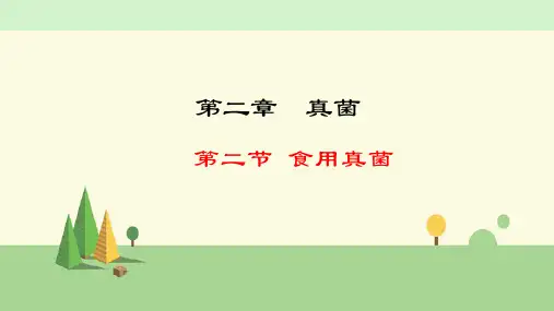 冀少版 生物 八年级上册    食用真菌