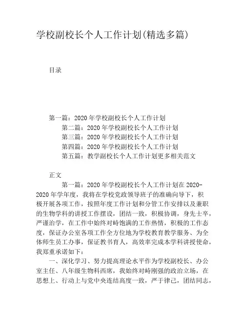 学校副校长个人工作计划(精选多篇)
