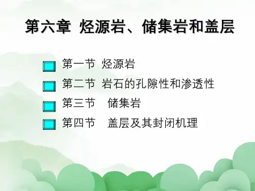 石油地质学第六章烃源岩储集层和盖层
