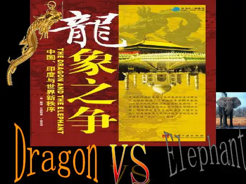 中印关系(龙象之争)