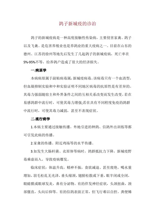 鸽子新城疫的诊治