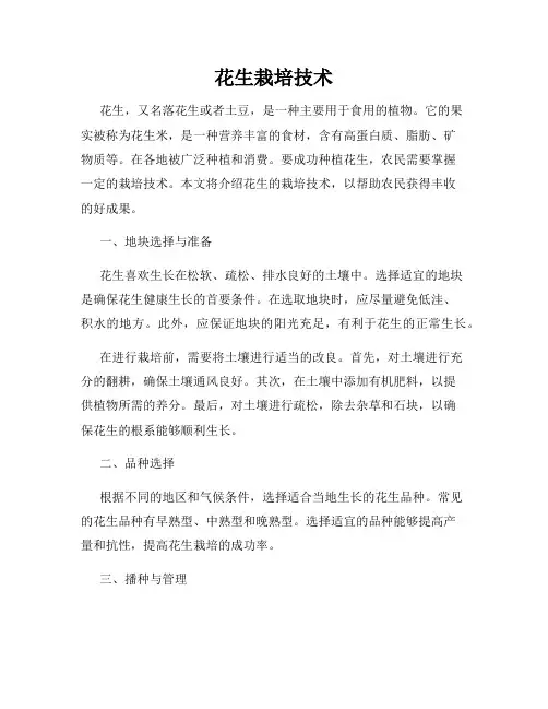 花生栽培技术