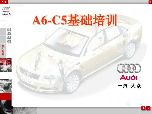 C5-基础培训