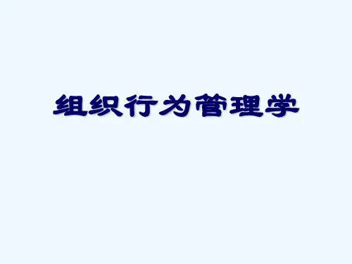 组织行为学(3)—群体行为