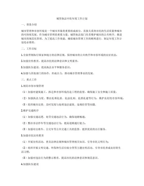 城管执法中队年度工作计划
