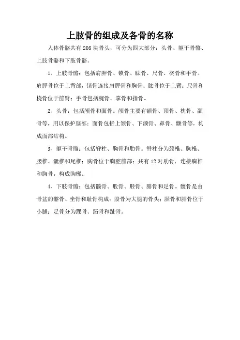 上肢骨的组成及各骨的名称