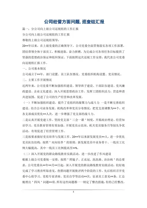 公司经营方面问题,巡查组汇报
