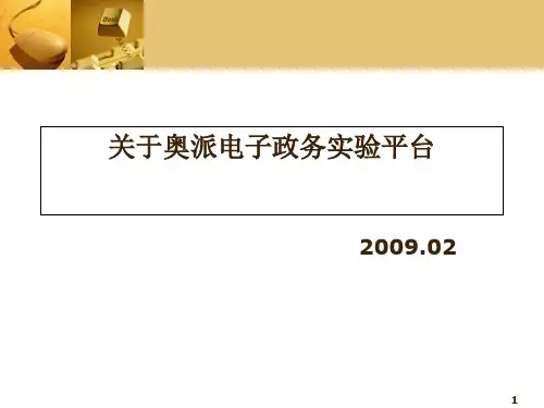 关于奥派电子政务