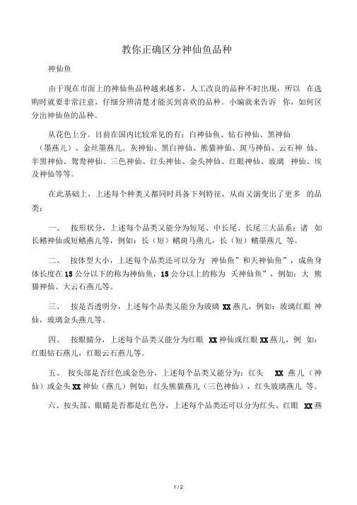 教你正确区分神仙鱼品种