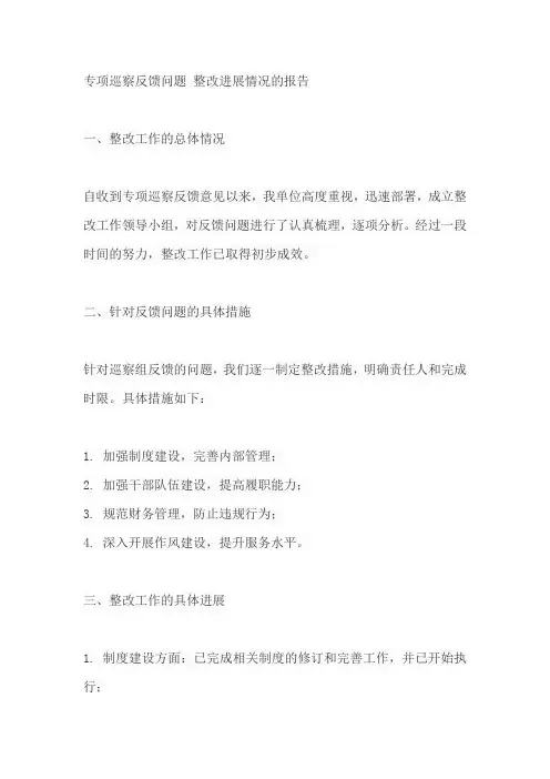专项巡察反馈问题 整改进展情况的报告