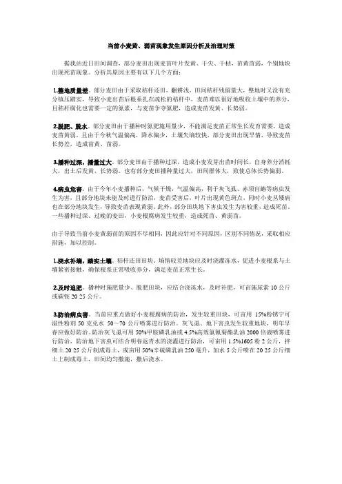 当前小麦黄、弱苗现象发生原因分析及治理对策