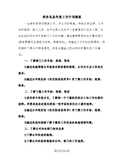 财务总监年度工作计划模板（3篇）