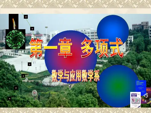 大学 代数方法 第一章 多项式