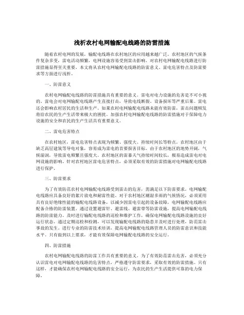 浅析农村电网输配电线路的防雷措施