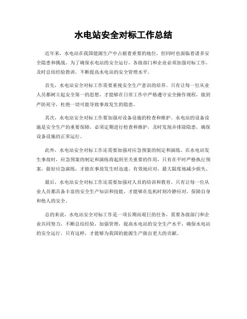 水电站安全对标工作总结