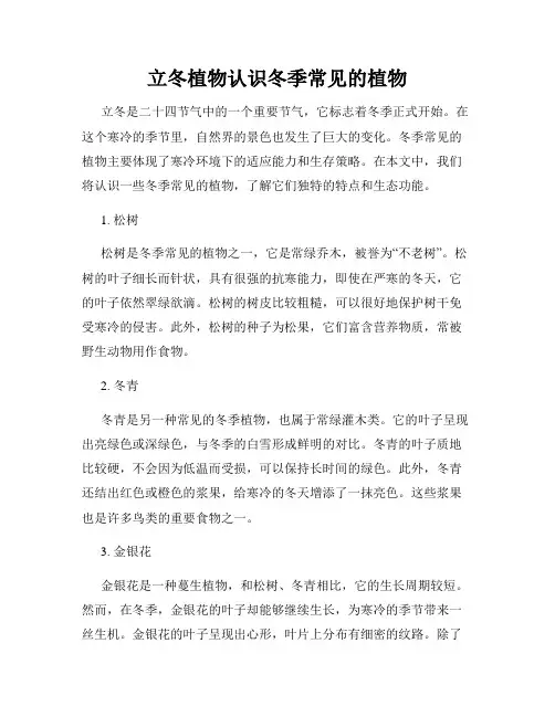 立冬植物认识冬季常见的植物