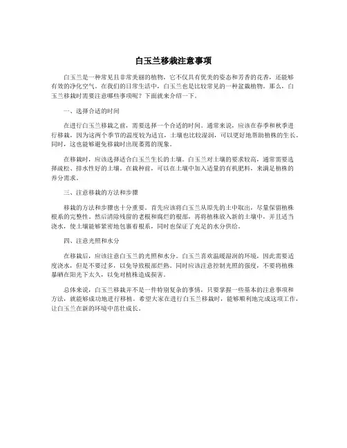 白玉兰移栽注意事项